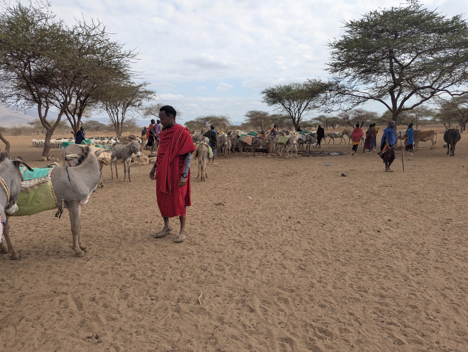 Rural livelihood landscape